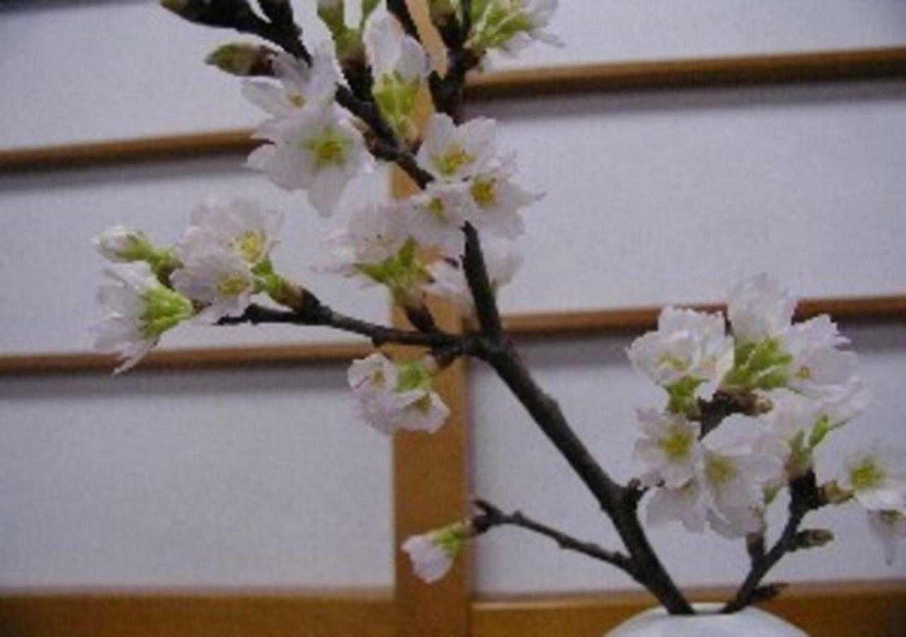 Wakaba Ryokan / Vacation Stay 29362 Саката Экстерьер фото